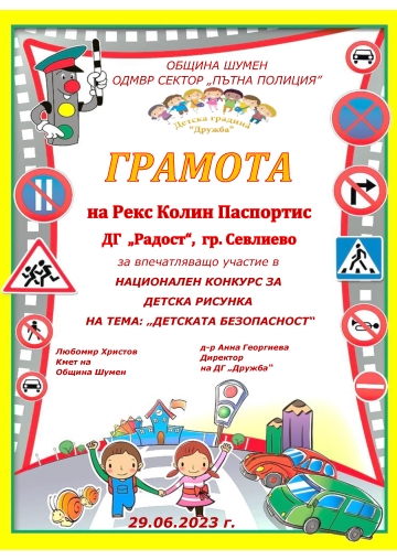 Постижения деца 67