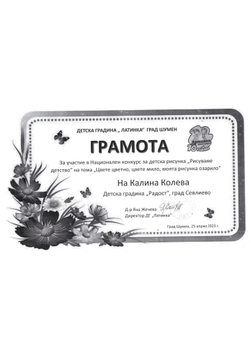 Постижения деца 31