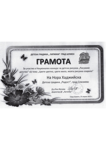 Постижения деца 24
