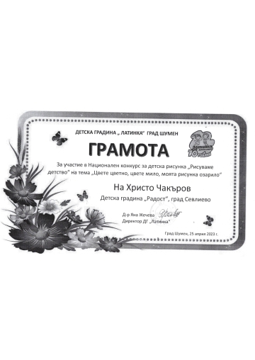Постижения деца 26