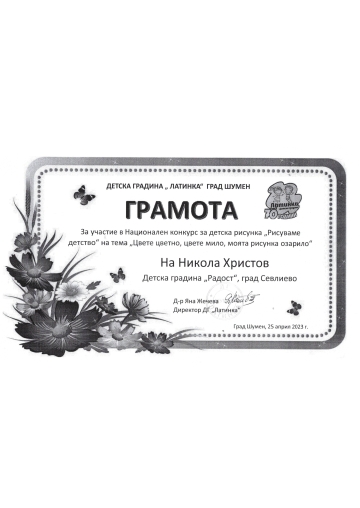 Постижения деца 17