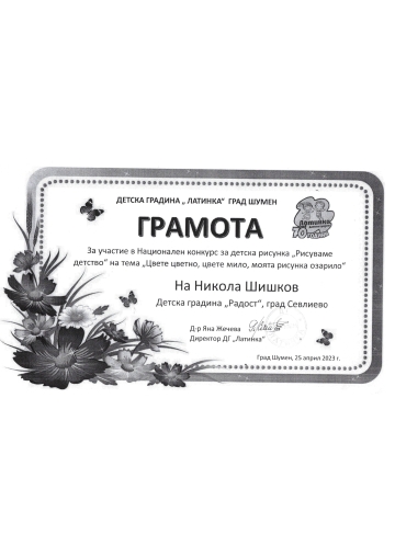 Постижения деца 29