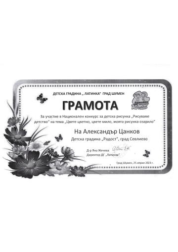 Постижения деца 39